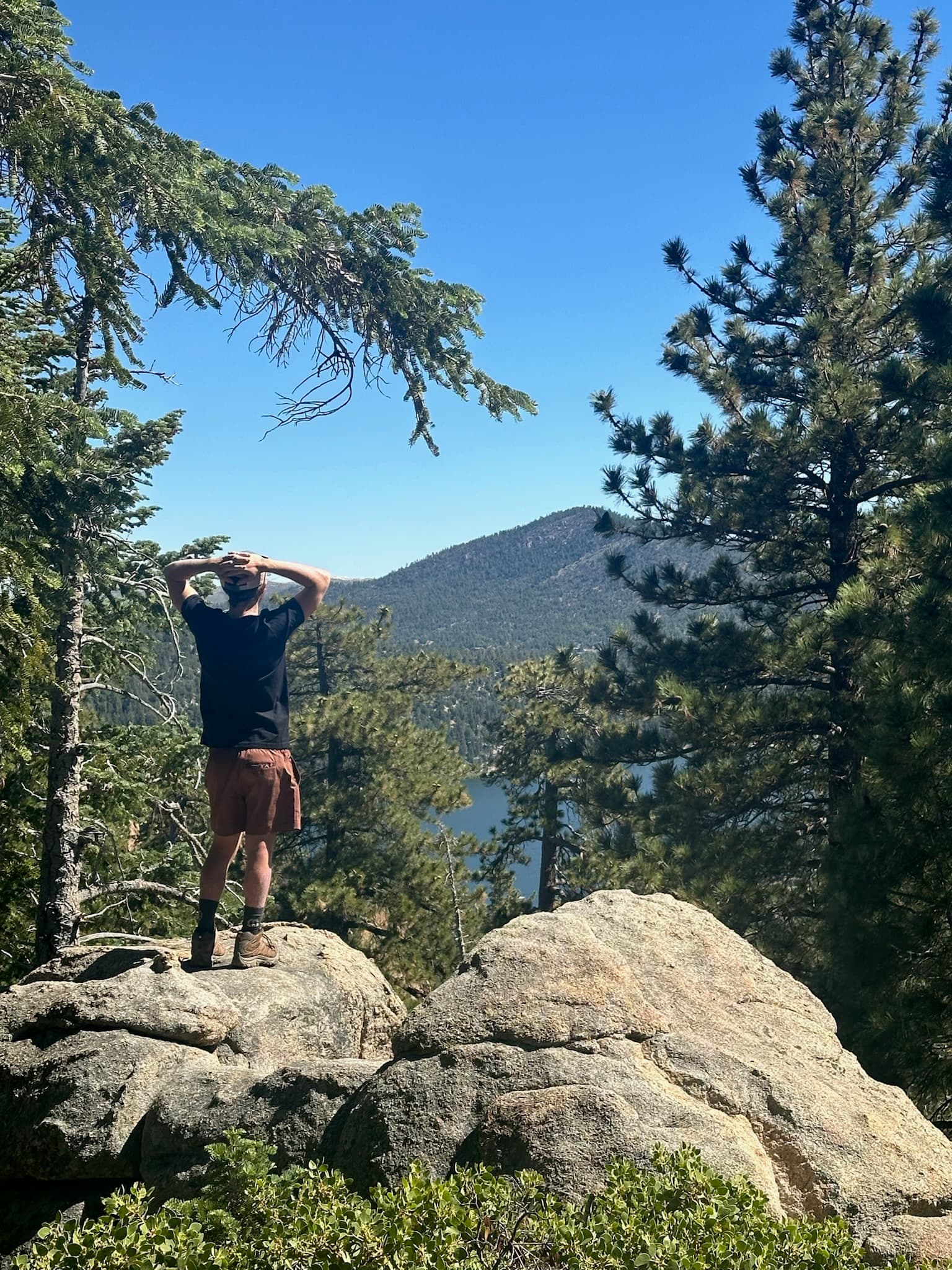 A person standing on a rock with arms raised, enjoying a scenic view